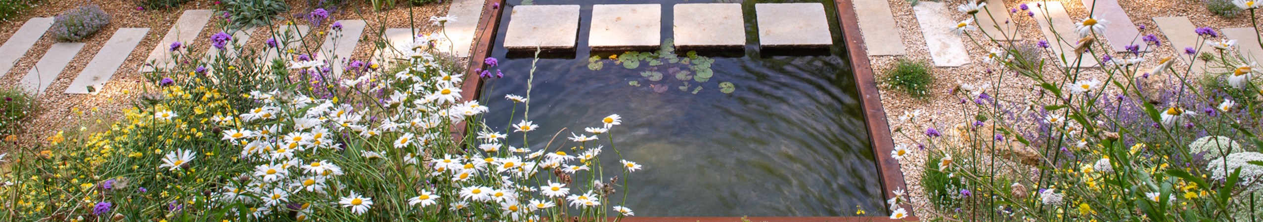 fi-boyle-5-credit-heather-edwards2554x450