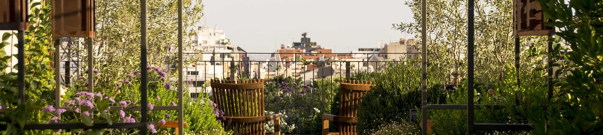 2-credit-silvia-cerrada2000x1306crop2000x450