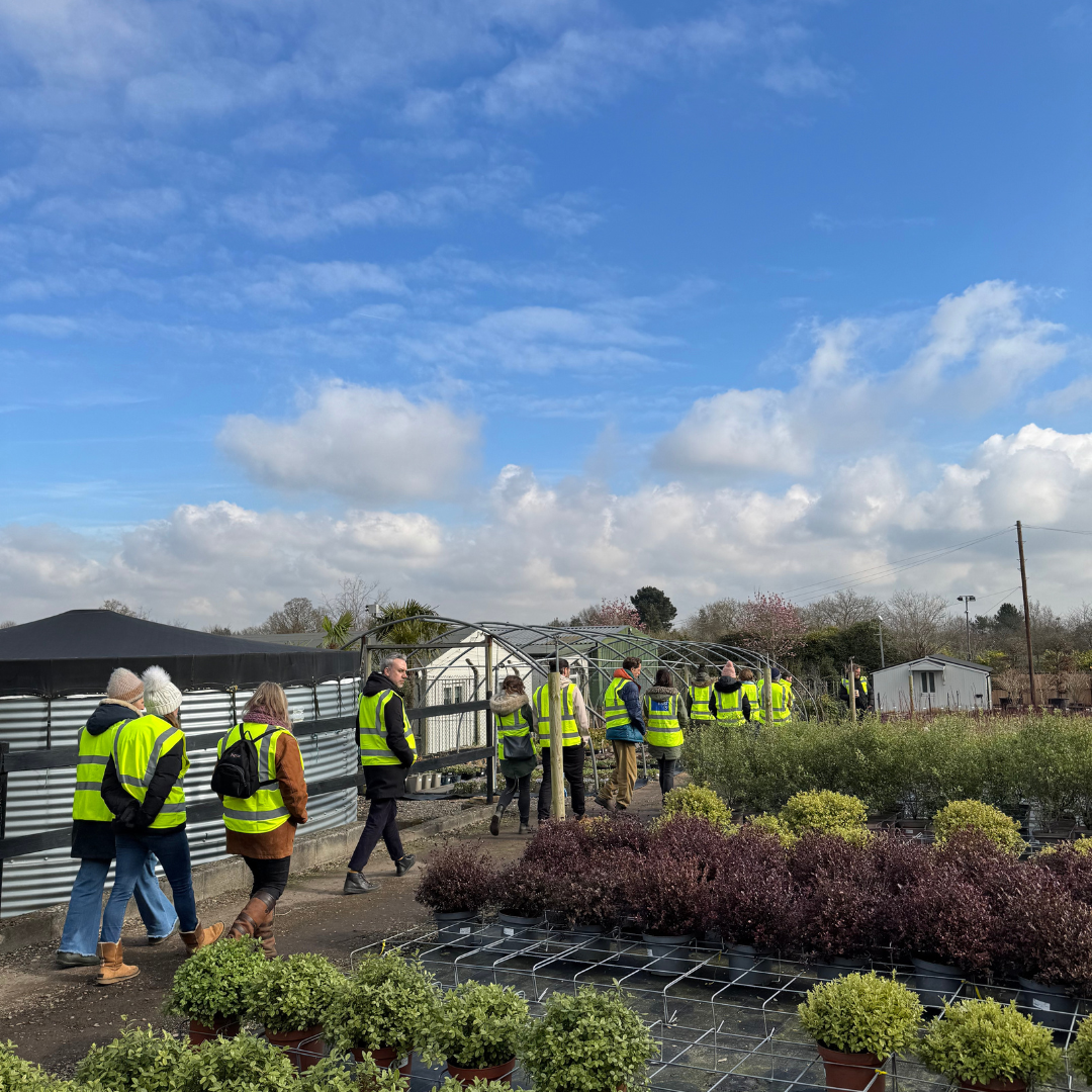 Creepers Nursery Open Day - 19 March 2026