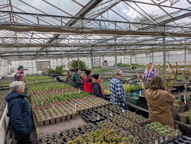 Cluster Group Event - Kent - From Seed to Show with How Green Nursery - 14 October 2025