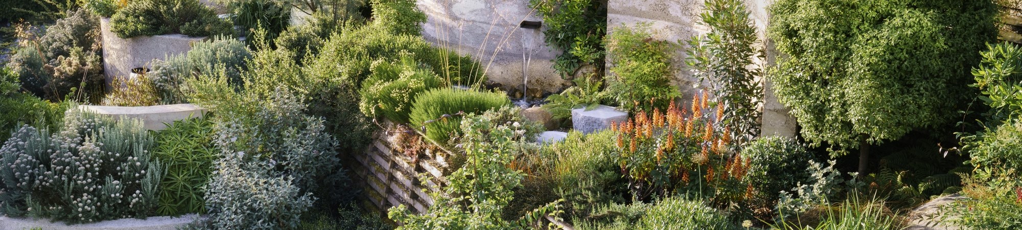 13353-credit-rachel-warne2000x1364crop2000x450