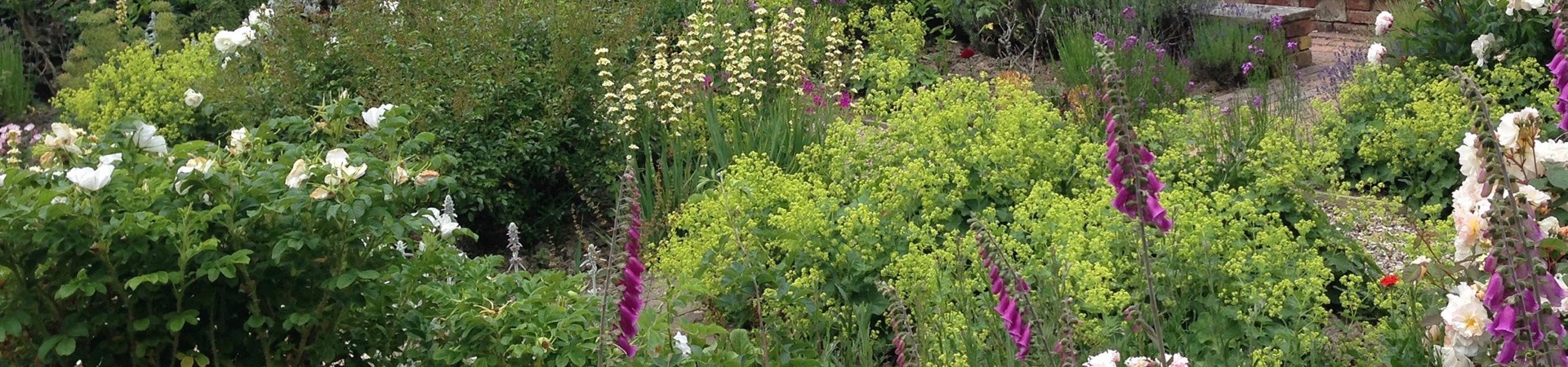 timothycarlesscrop1920x450