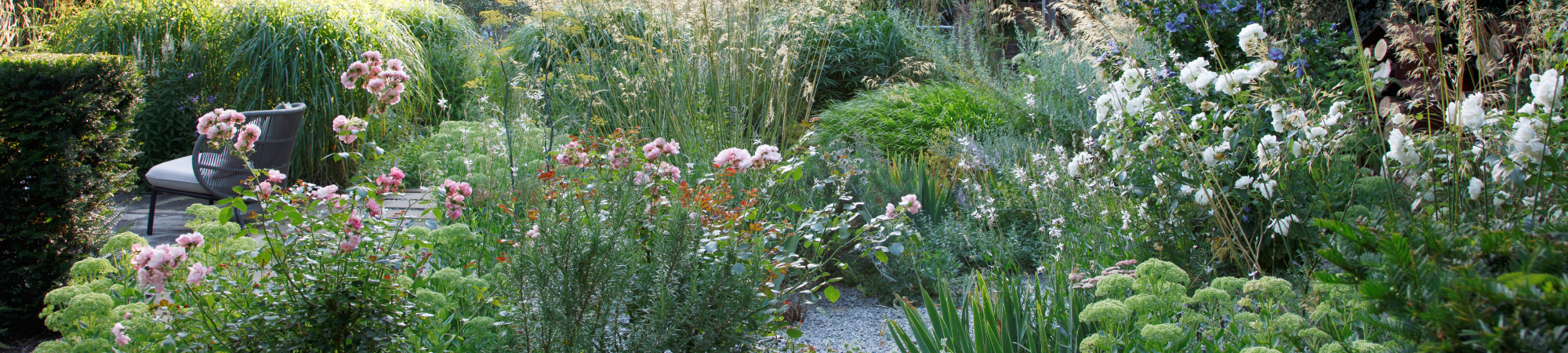 1-credit-annaick-guittanycrop2000x450