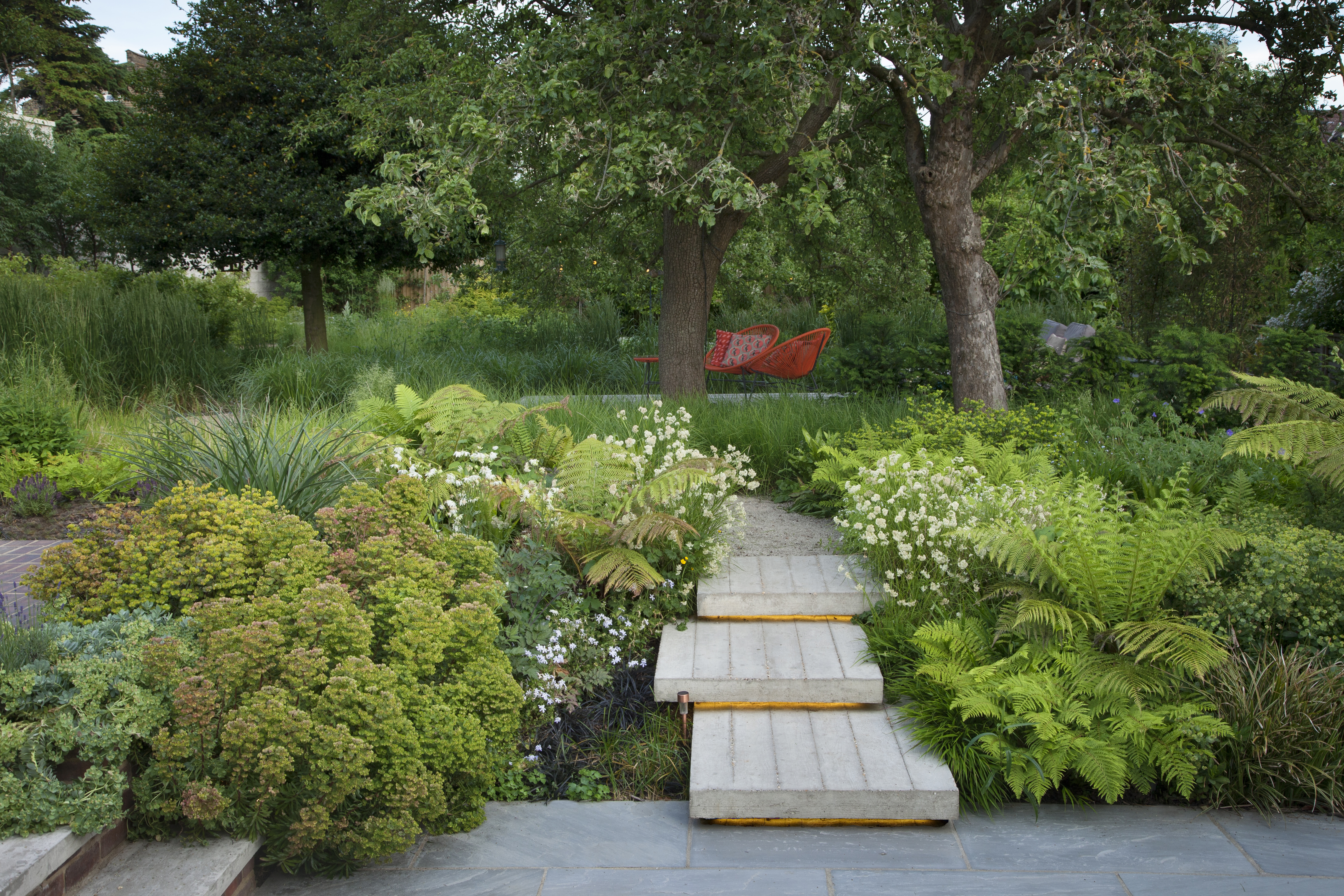 Image by Barbara Samitier MSGLD