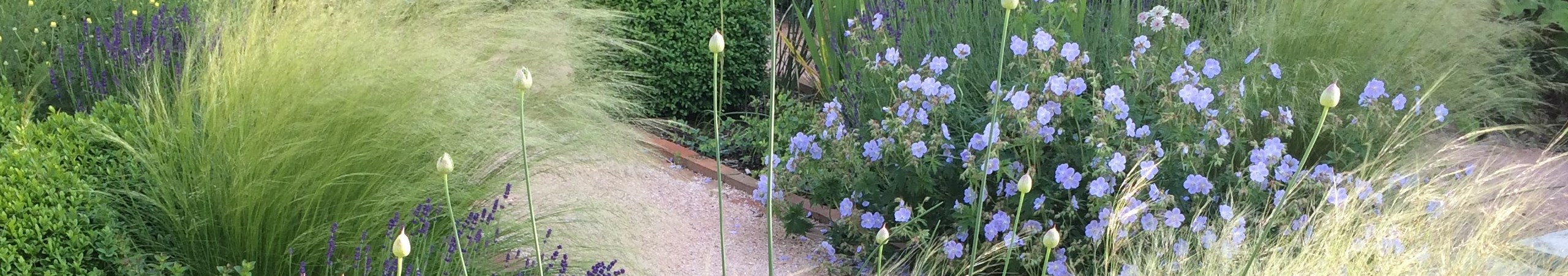 RogerWebsterLegacyBanner