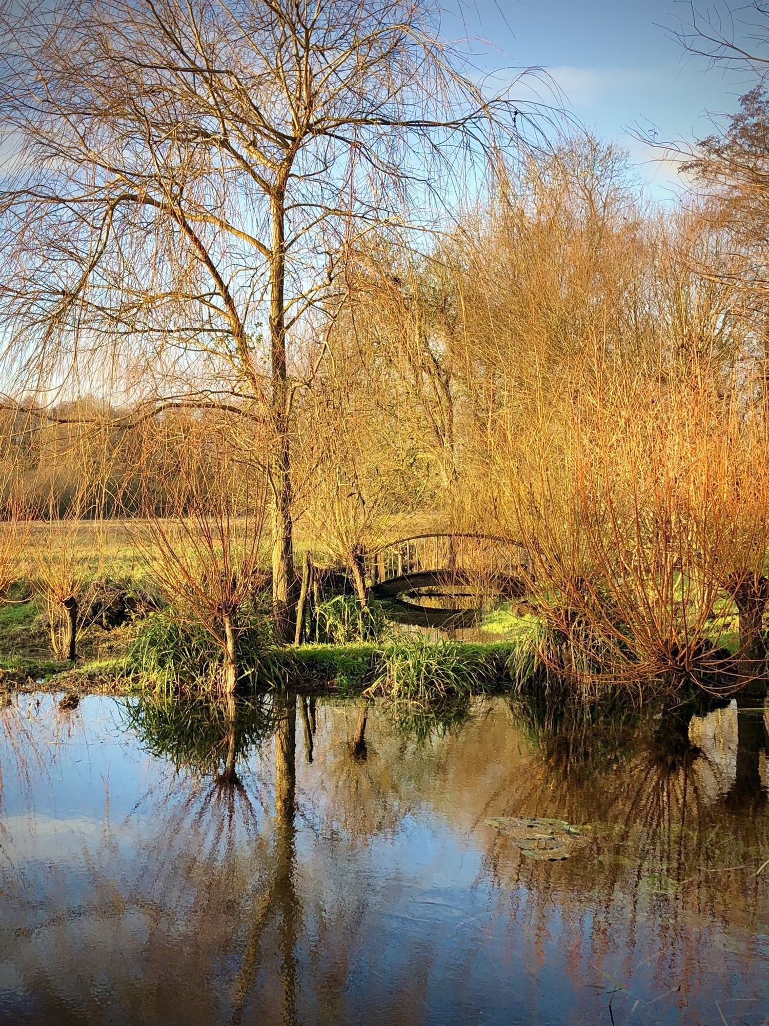 SGD CONFERENCE - NATURAL NETWORKS – connectivity in garden and landscape design
