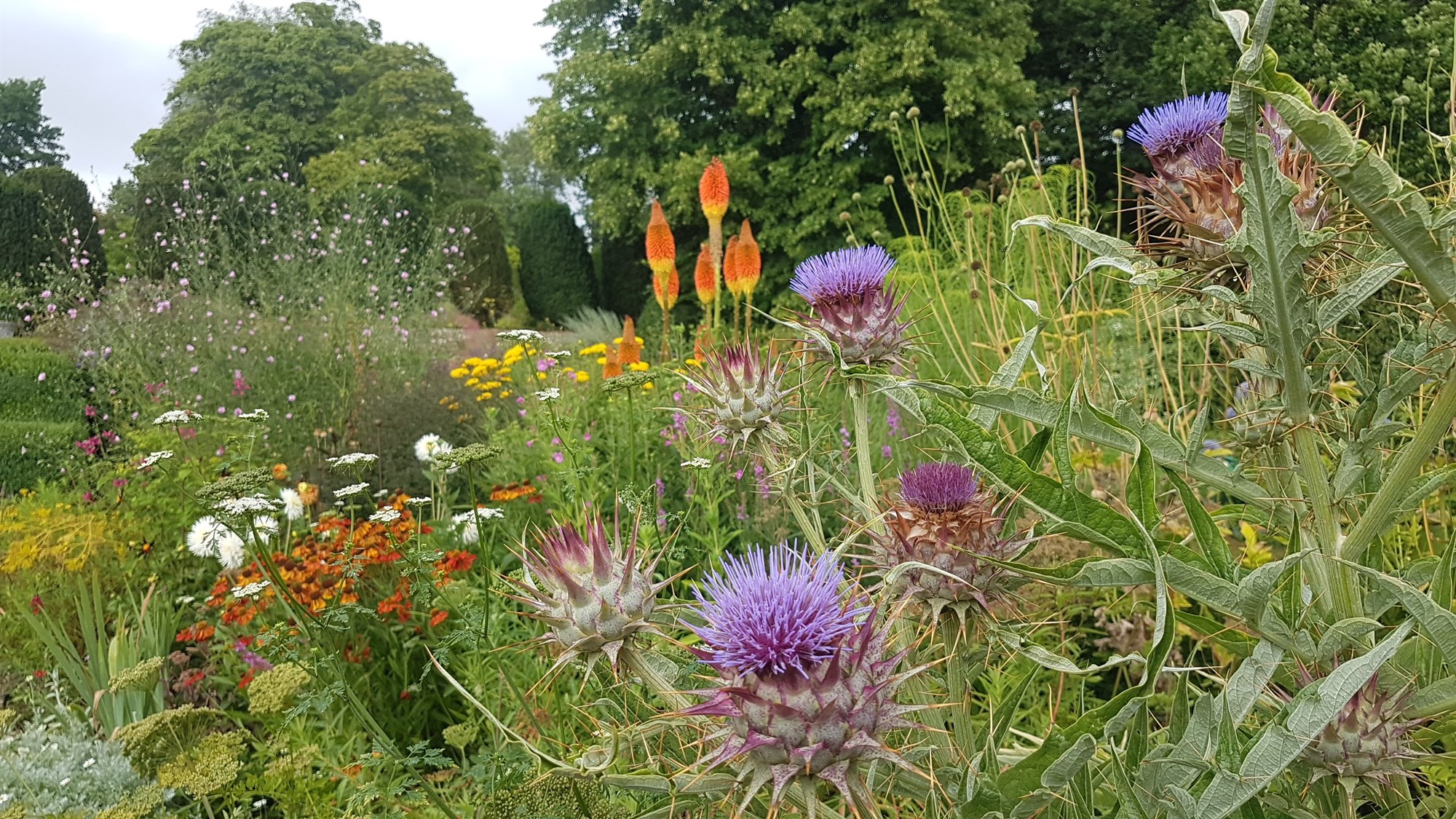 Demystifying Planting Design with Anna Ribo - 02 September 2025