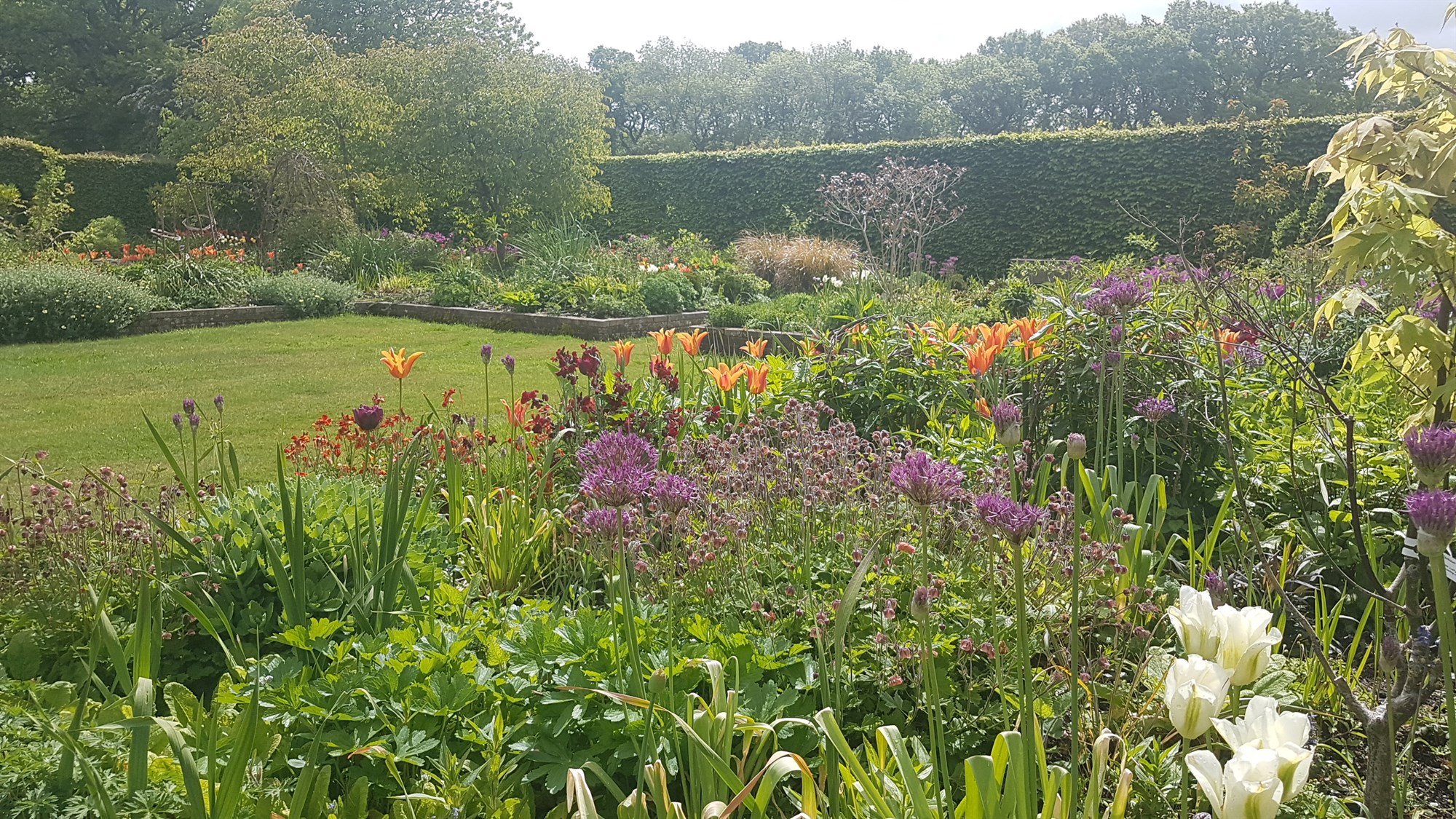 Making the Garden Live Longer with Anna Ribo - 11 February 2026