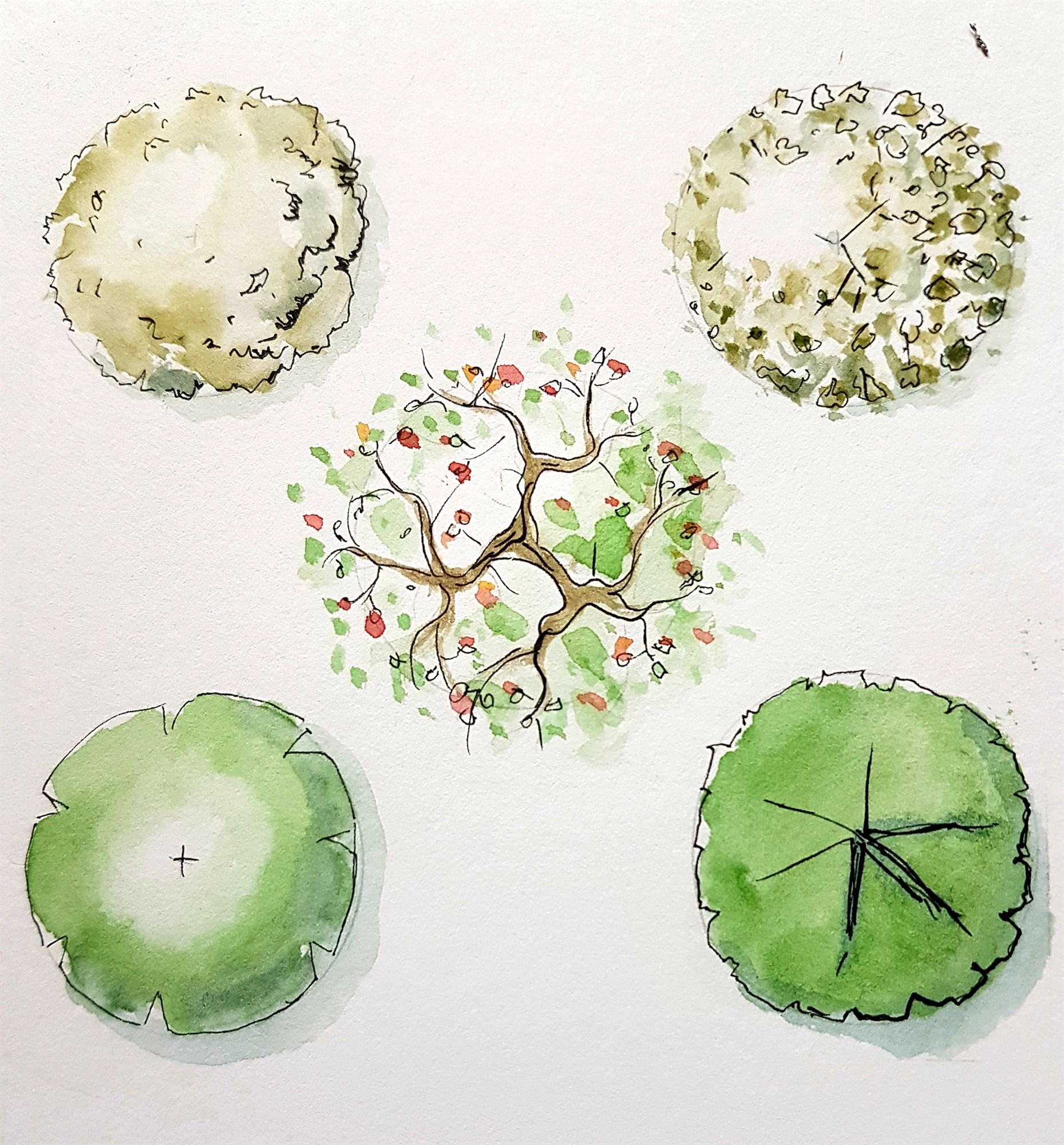 Plans & layouts: tips and techniques for sketching with Anna Ribo - 27 October 2025