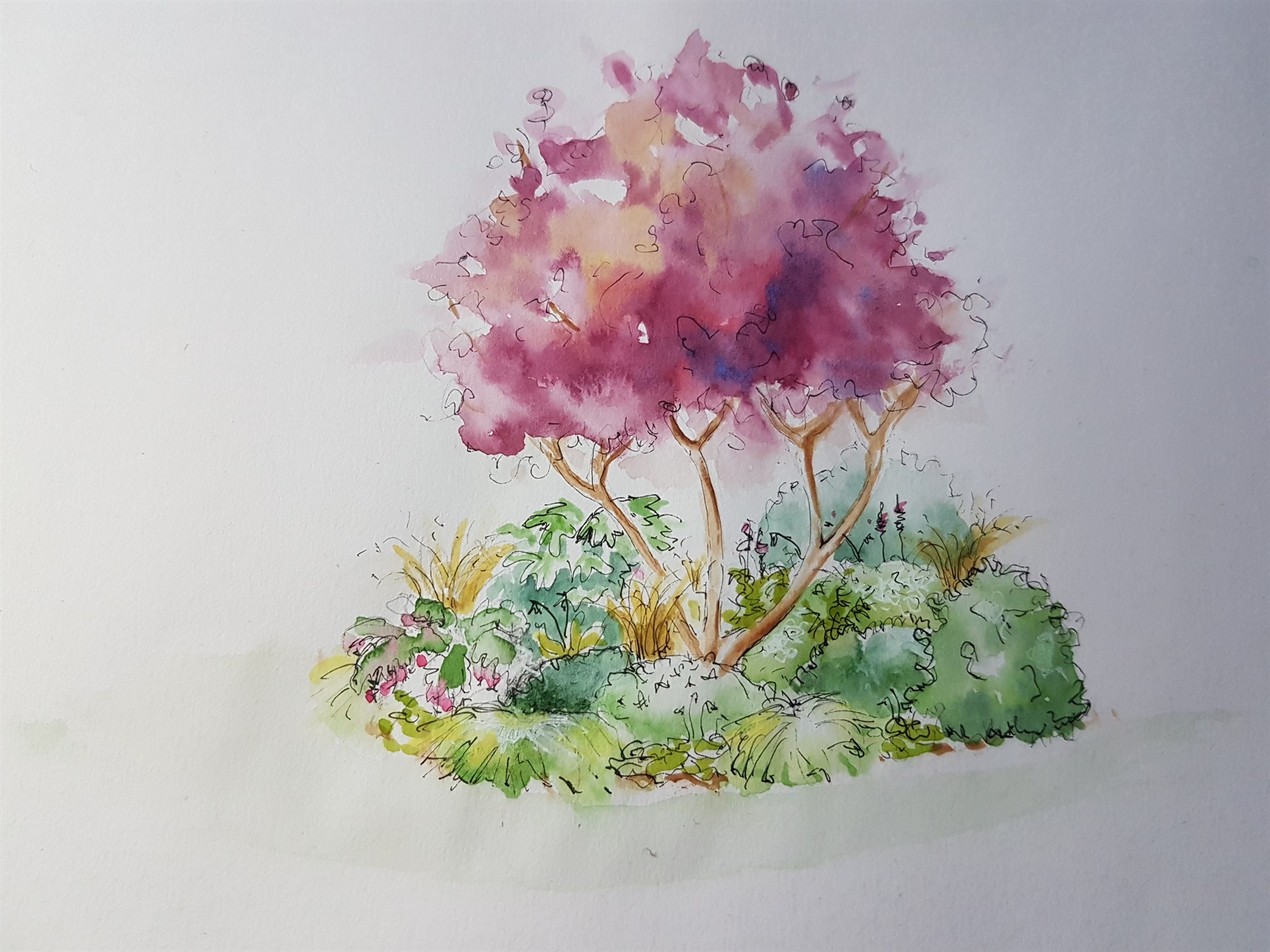 Sketching Plants in Colour - tips and techniques with Anna Ribo - 02 December 2025