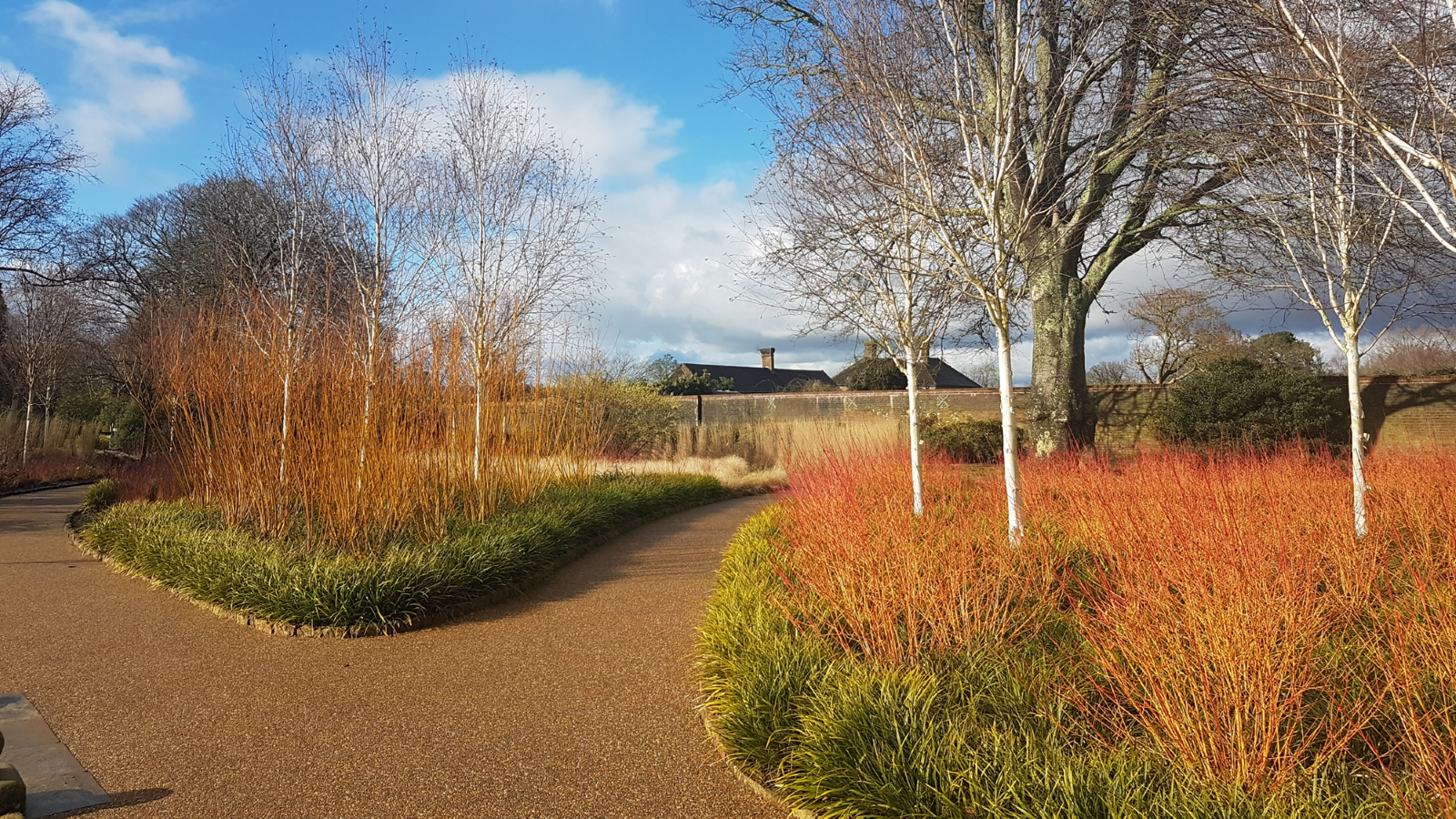 Making the Winter Garden Shine with Anna Ribo - 08 October 2025