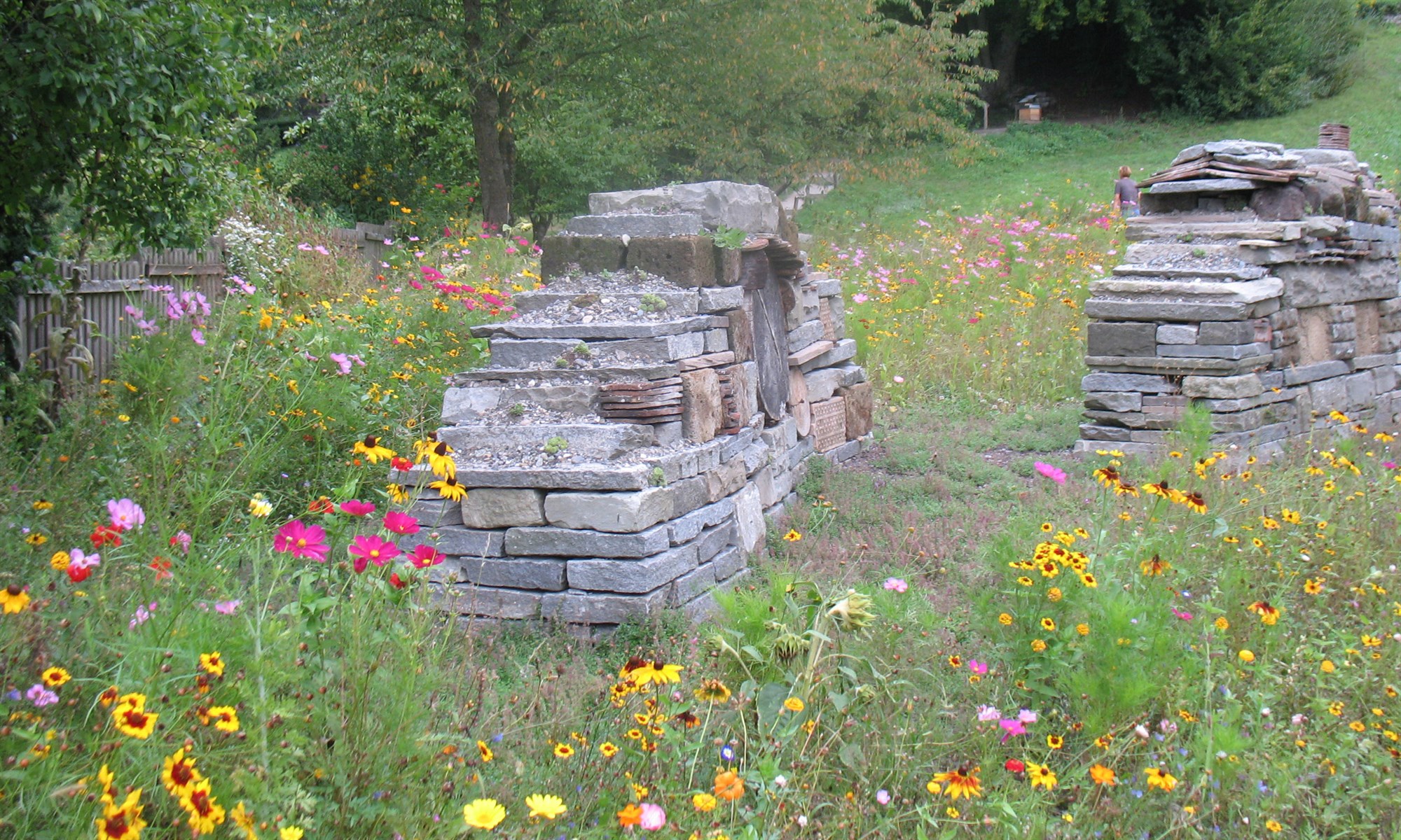 **NEW** Planting Design for Biodiversity - 20 & 27 March 2026