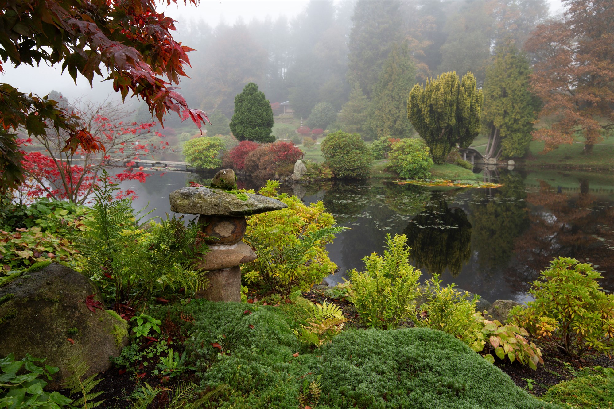 Regional Event Scotland - Successfully Photographing your Garden - 13 Nov 2025