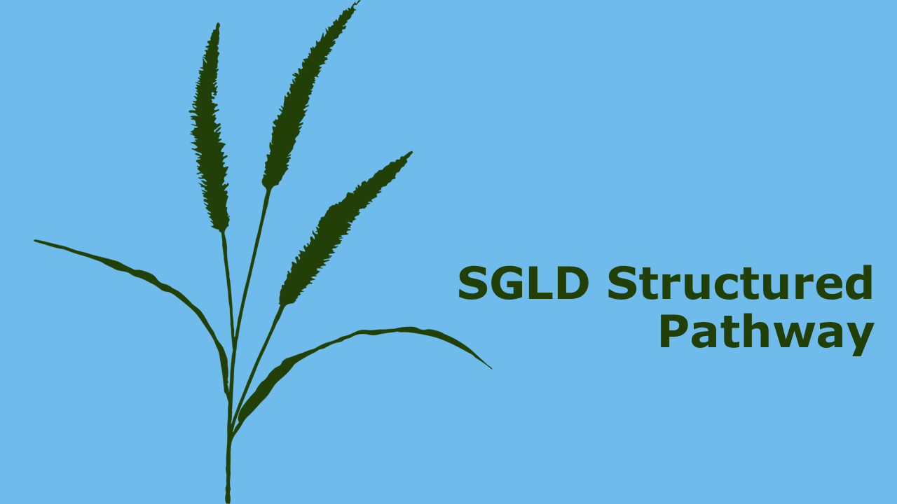 Structured Pathway 2026/2027 - Registration