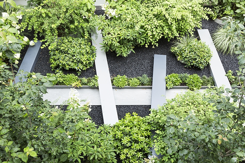 Review: SGD Autumn Conference 2018