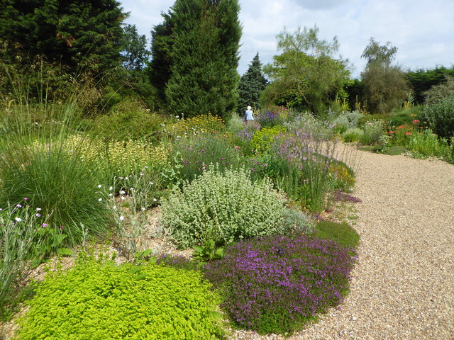 Essex Cluster Event: A tour of Beth Chatto Gardens with Q&A - 11 June 2026