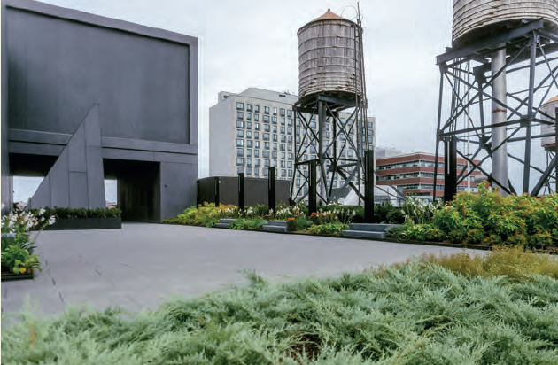 Image design by Sara Zewde , photograph Studio Zewde - Aria Goodman