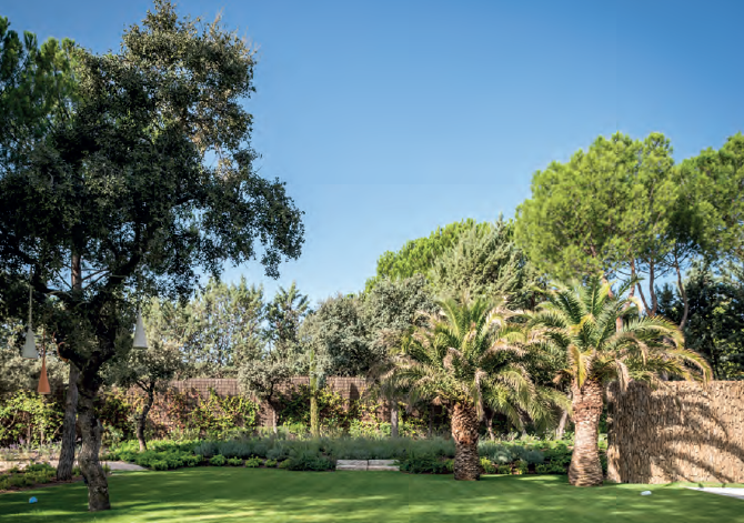 Image garden designed by Gonzalo Morillo MSGLD