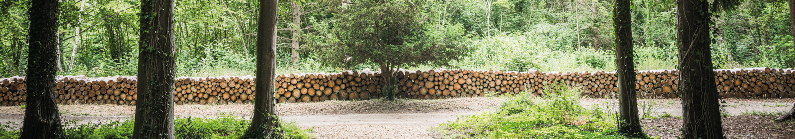 sgldwb054gdj276poilandscape-at-goodwood-art-foundation-photography-by-toby-adamson-courtesy-goodwood-art-founda