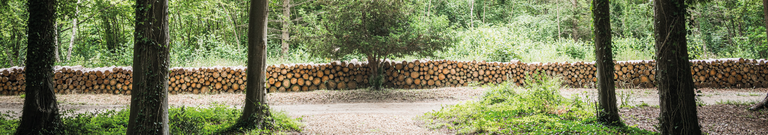 sgldwb054gdj276poilandscape-at-goodwood-art-foundation-photography-by-toby-adamson-courtesy-goodwood-art-foundation
