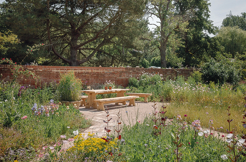 Specialist plants such as those in Plant Heritage’s living library of National Plant Collections are an opportunity to add interesting and biodiverse points of interest to a garden, as Sarah Price has in using the Benton Irises.