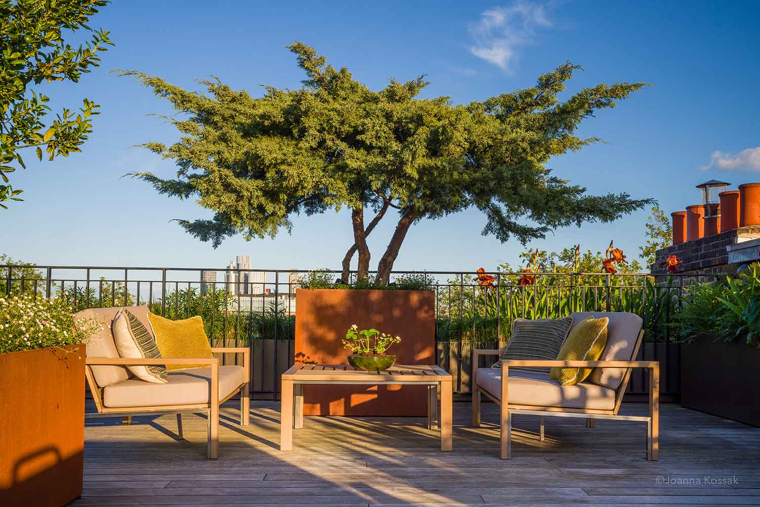 Image by Maitanne Hunt MSGLD