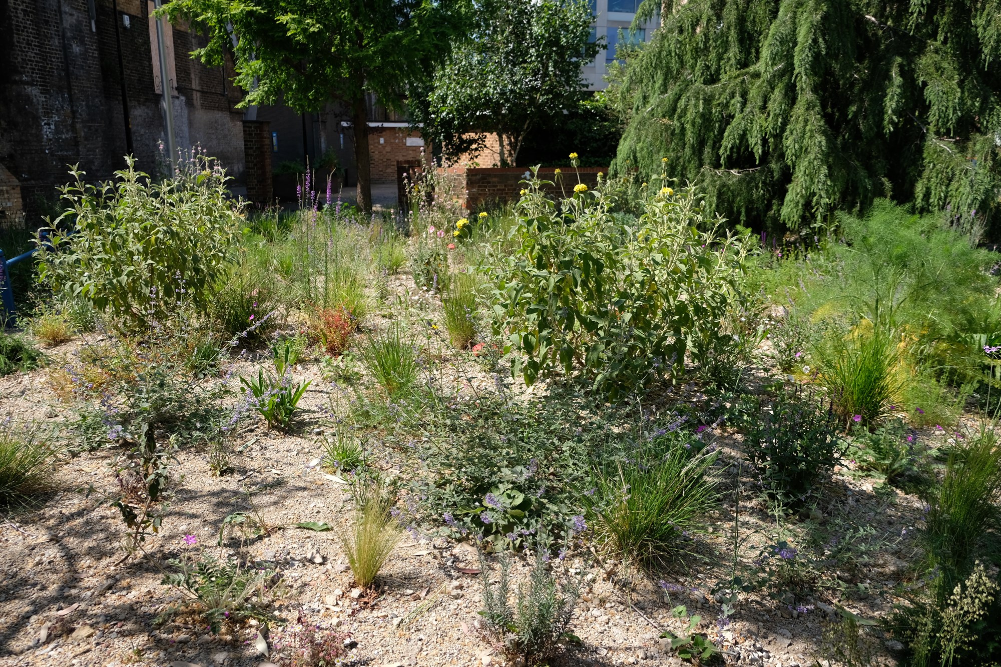 Regional Event - Scotland: Planting into Recycled Substrates with Darryl Moore - 16 Mar 2026