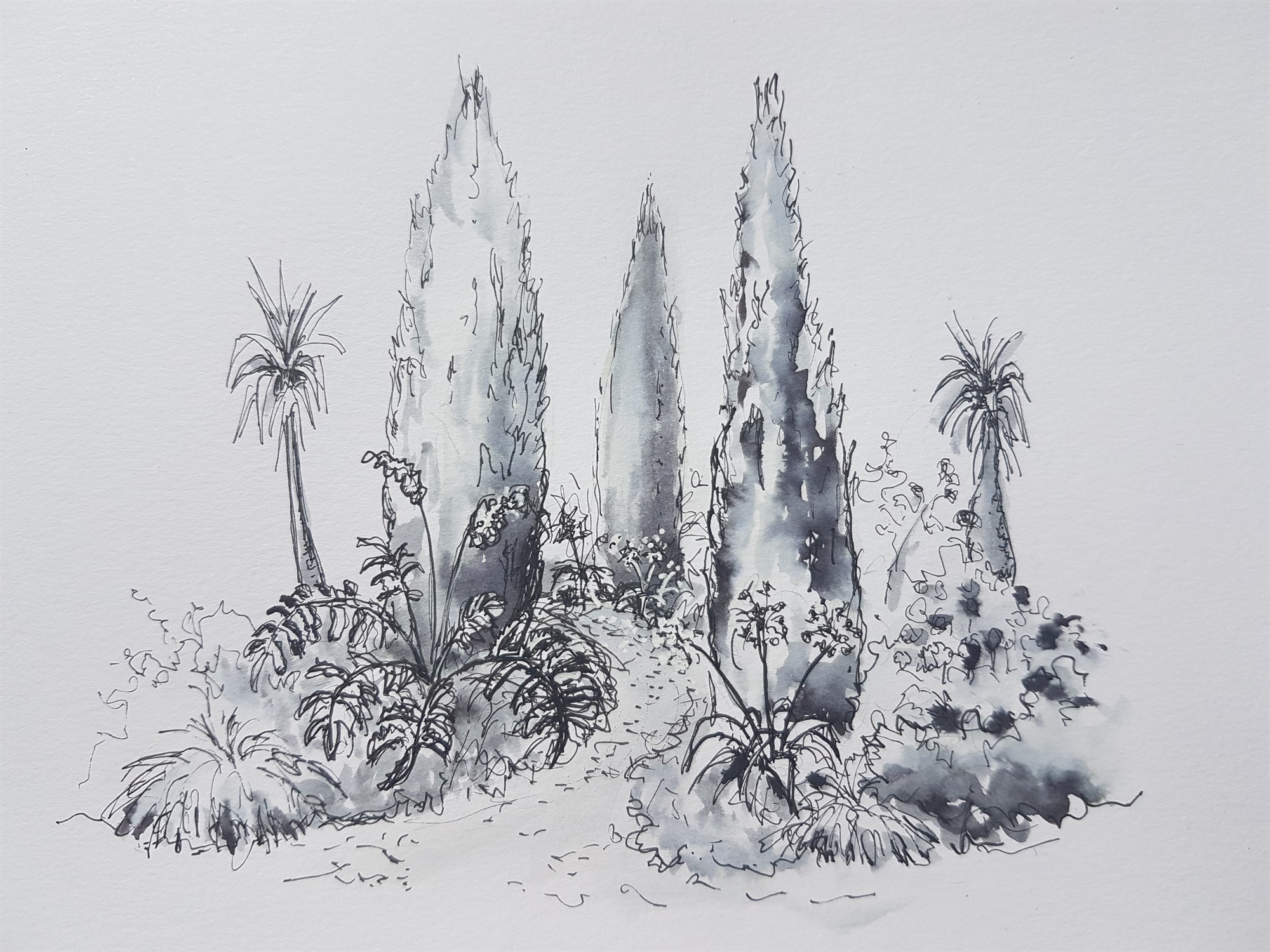 Sketching Plants on Location with Anna Ribo - 25 September 2025