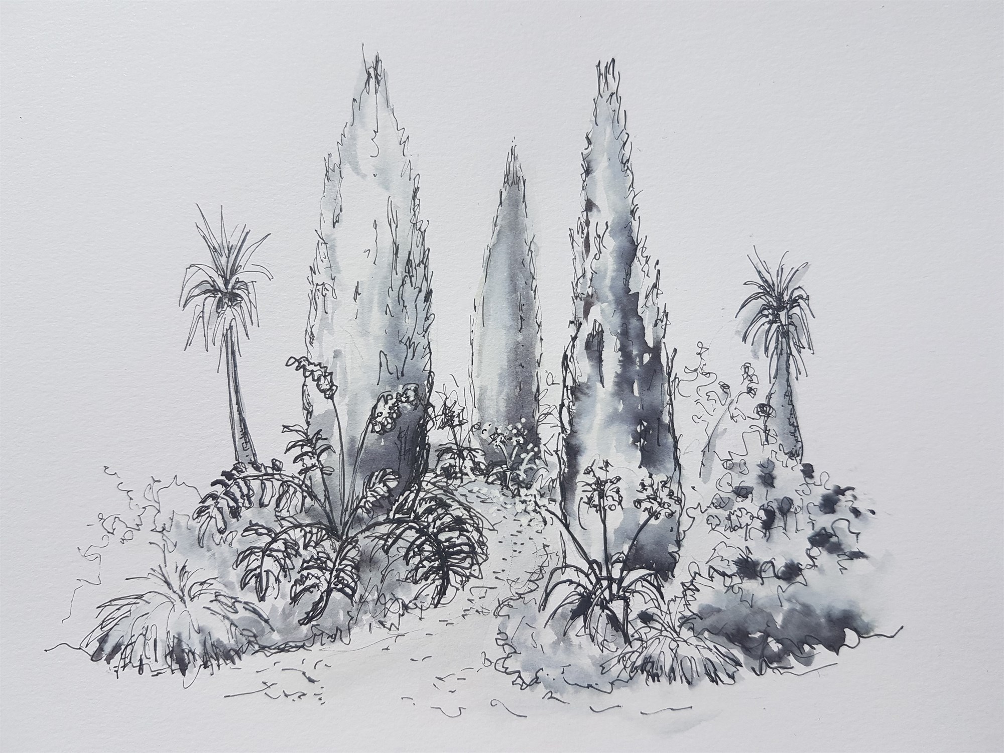 Sketching Plants on Location with Anna Ribo - 03 June 2025