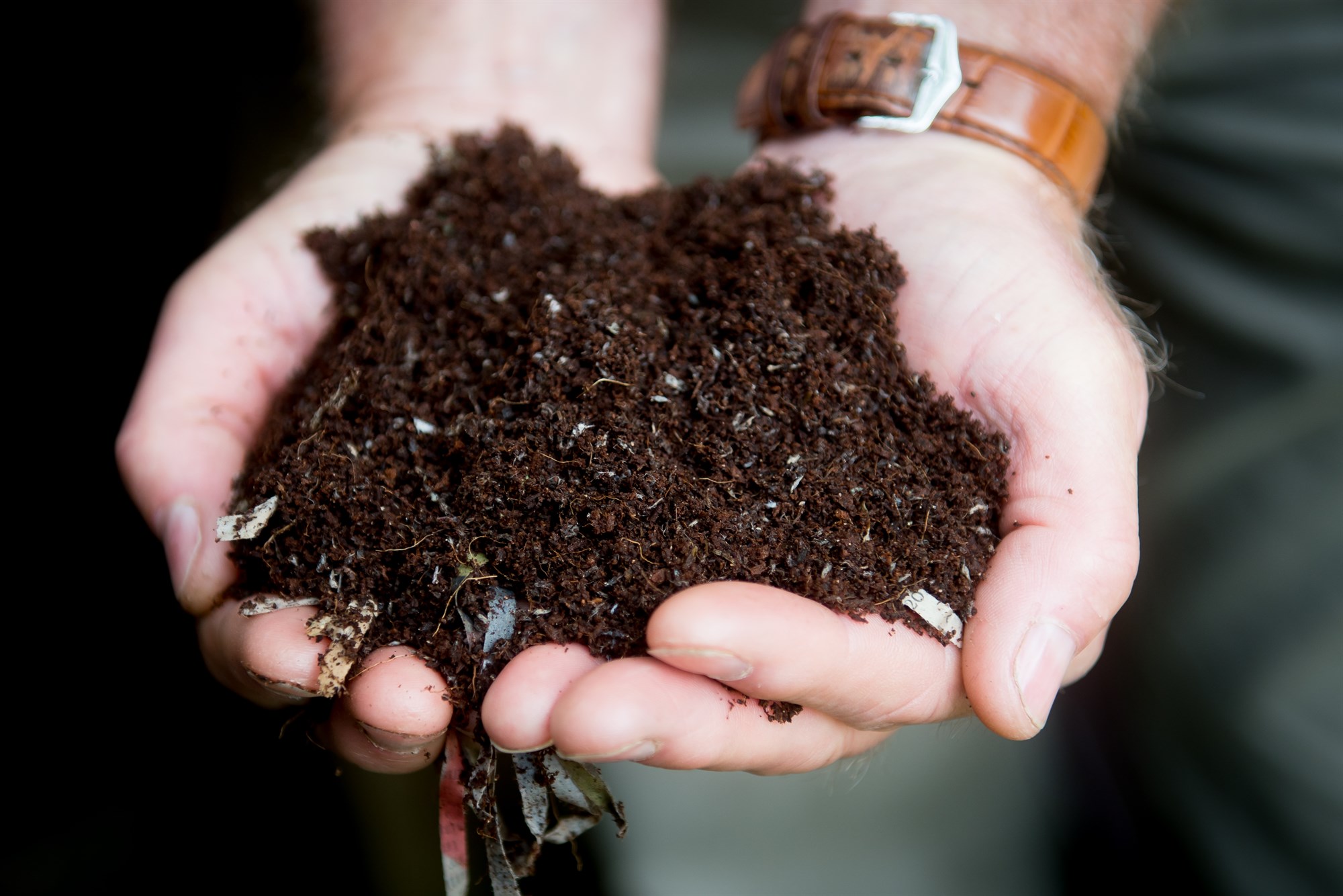 Successful Composting Workshop with Garden Organic - 16 Sept 2025
