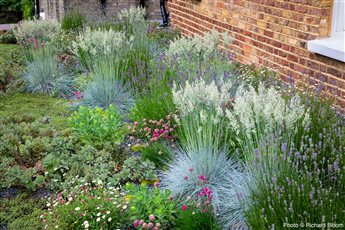 Roof/Podium Garden, Hampstead