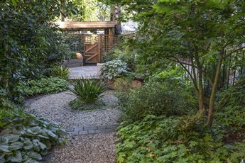 West end Glasgow garden with informal shade-loving woodland-style planting within a geometric design inspired by the building. Photo credit: Rachel Bailey