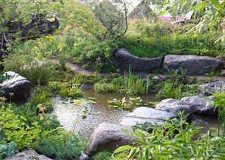 RHS Hampton Court 2018
Countryfile Garden