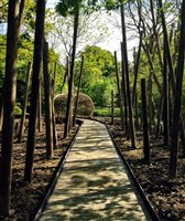 Ann-Marie Powell Gardens/Ann-Marie Powell MSGD - Chestnut Tree House