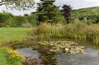 Sussex and Surrey Gardens