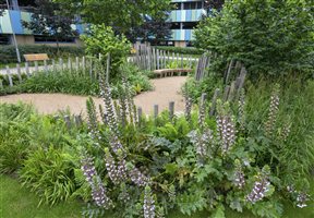 Bowles & Wyer; Principal Designer John Wyer FSGD - Addenbrookes Hospital NHS 70 Garden - Photo Richard Bloom