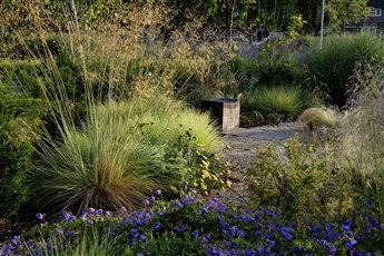 Martin Beard Memorial Garden at Merstham Park School