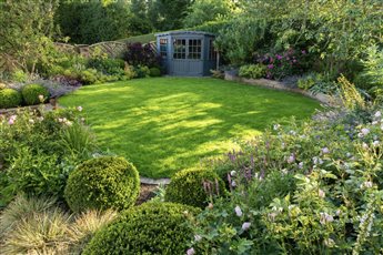 Garden and planting design for a Yorkshire country garden. Featuring clipped Buxus balls and roses. 