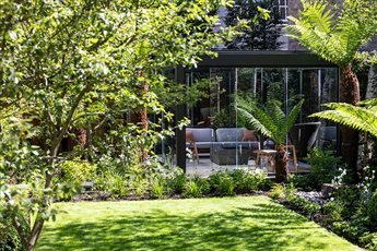 This space was transformed with planting using mature Dicksonia antarctica, Amelanchier × lamarckii and Ilex crenata domes combined with foliage rich underplanting. 