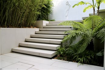 London courtyard garden in Chelsea on 2 levels.  Sleek cantilevered steps lead from basement up to he upper sunny garden. Planting is lush and tropical.