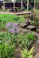 Winner: Sally Bower, Project: Wildlife Rain Garden