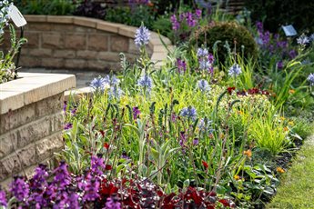 Spring planting design in Yorkshire, showing innovative planting combinations with complementary colours.  Award winning show garden - Best in Show - Premier Gold.  Harrogate Spring Show