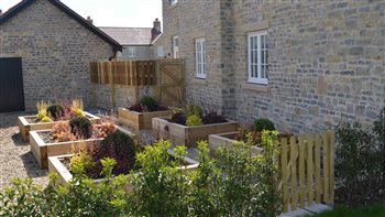 Kitchen garden - part of a larger scheme