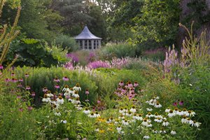 Helen Elks-Smith FSGLD - Country Garden New Forest.