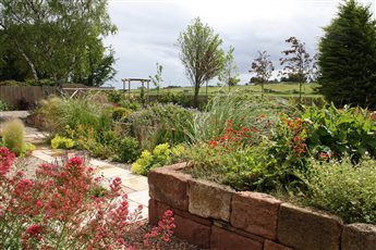 Highland cottage garden near Tain, enclosed by a native hornbeam hedge to create a sheltered sanctuary. Generous, layered perennials and shrub roses sit alongside sandstone raised planters, a timber pergola and a productive kitchen garden.