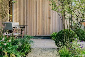 Cedar clad shed. multistem tree. topiary domes.
