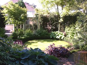 Shaded Urban Garden