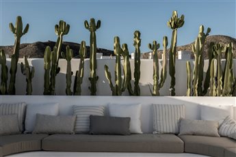 Garden in southern Spain