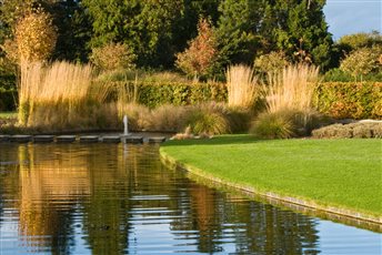 Calamagrostis grasses reflecting in the scimitar shaped pond in this contemporary country garden the Sussex/Hampshire border