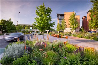 Sheffield public space Grey to Green Garden designed by Nigel Dunnett 